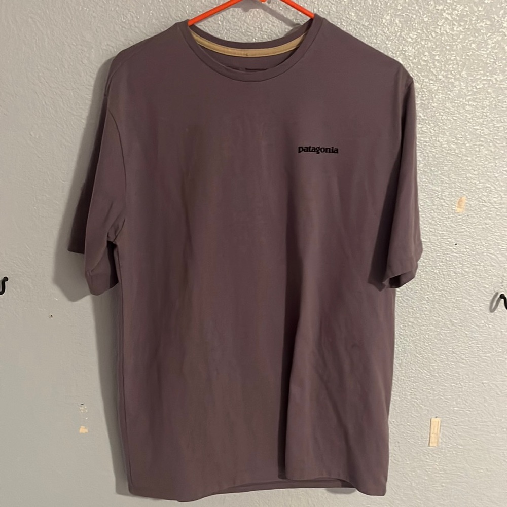Modern Patagonia Tee shirt